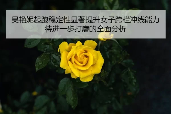 吴艳妮起跑稳定性显著提升女子跨栏冲线能力待进一步打磨的全面分析