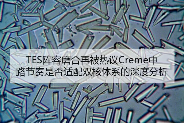 TES阵容磨合再被热议Creme中路节奏是否适配双核体系的深度分析