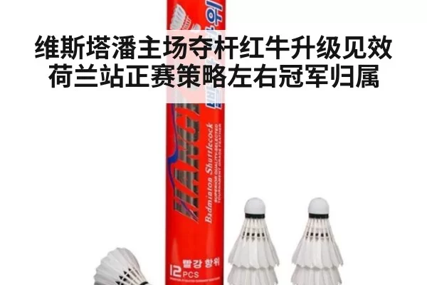 维斯塔潘主场夺杆红牛升级见效 荷兰站正赛策略左右冠军归属